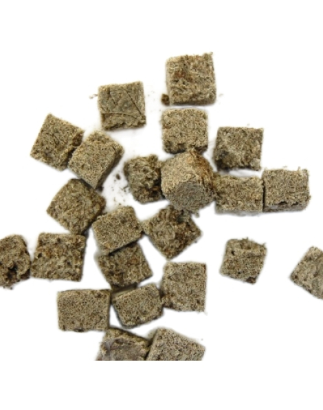 Australian FD Black Worms - 50 grams (cubes)