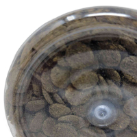 DF Pleco & Catfish Algae Wafers 480g