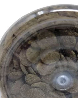 DF Pleco & Catfish Algae Wafers 480g