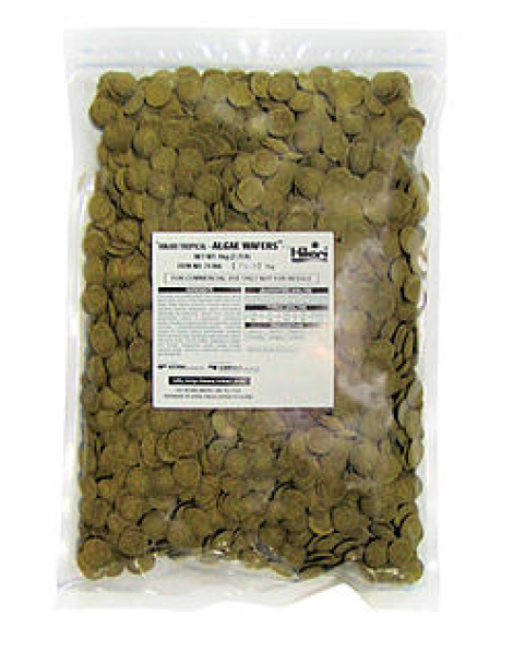 Hikari Algae Wafers 2.2lb