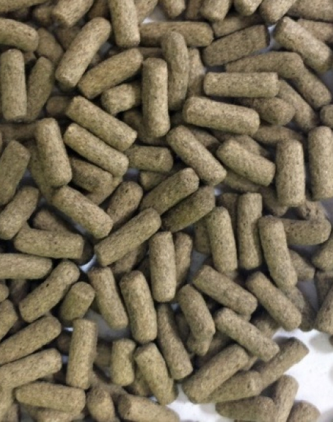 NorthFin Turtle Sticks 100g