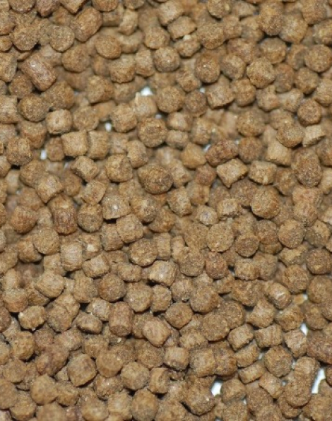 NorthFin Cichlid Formula (2mm sinking pellet) - 250 grams
