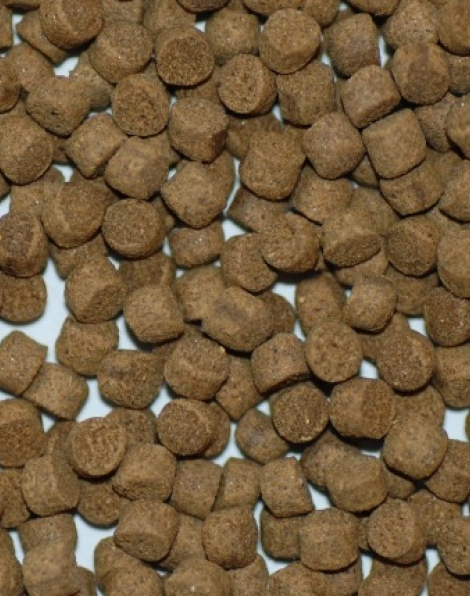 NorthFin Jumbo Fish Formula (4mm sinking pellet) - 250 grams