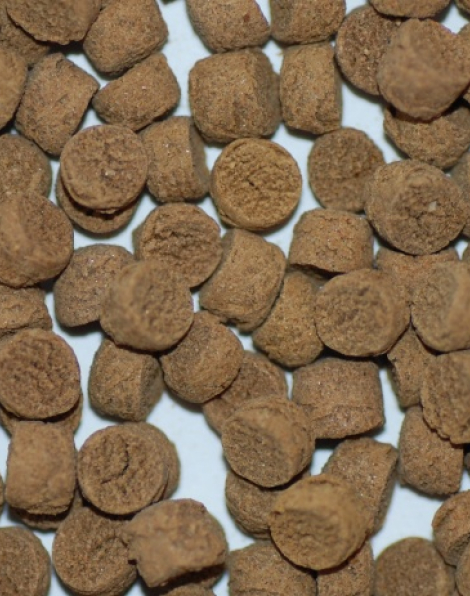 NorthFin Jumbo Fish Formula (6mm sinking pellet) - 250 grams