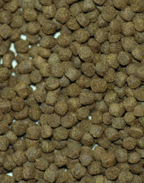 NorthFin Veggie Formula (3mm sinking pellet) - 250 grams