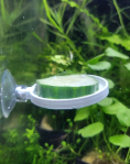 Veggie Feeder with a Suction Cup