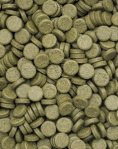 Tropical Algae Tablets B 36g