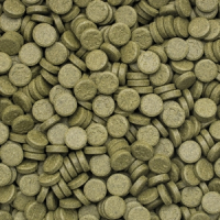 Tropical Algae Tablets B 36g