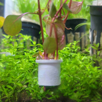 3D Printed Plant Anchors Narrow  - 5 Pack