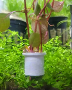 3d Printed Plant Anchors Narrow  - 5 Pack
