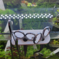 Tool Holder for Rimless Tanks