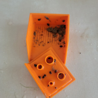 3D Printed Snail Trap