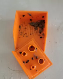 3D Printed Snail Trap