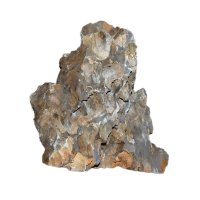 Dragon Stone 1lb