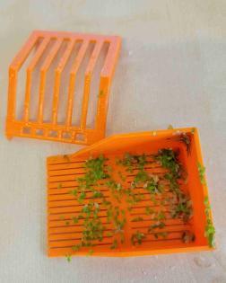 3D Printed Duckweed Scooper