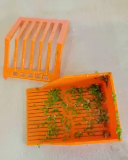 3D Printed Duckweed Scooper