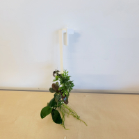 3D Printed Epiphyte Ladder