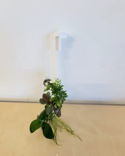 3D Printed Epiphyte Ladder