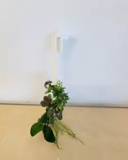 3D Printed Epiphyte Ladder