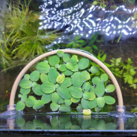 3D Printed Floating Plant Barrier (15cm)