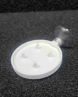 Veggie Feeder with a Suction Cup