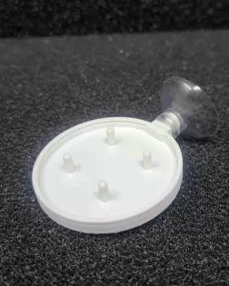 Veggie Feeder with a Suction Cup