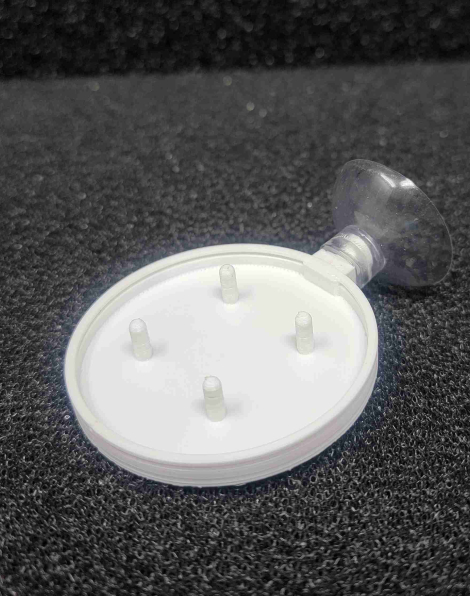 Veggie Feeder with a Suction Cup