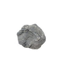 Seiryu Stone A