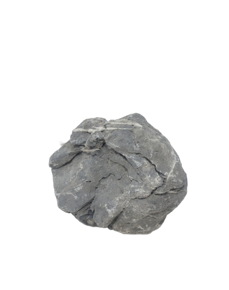 Seiryu Stone A