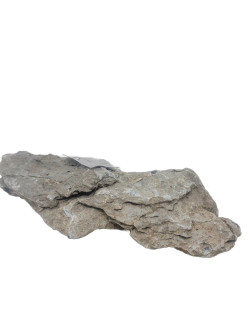 Seiryu Stone B