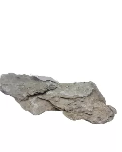 Seiryu Stone B