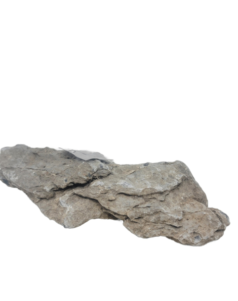 Seiryu Stone B