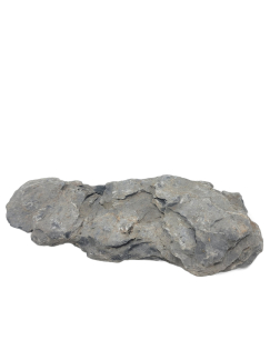Seiryu Stone D