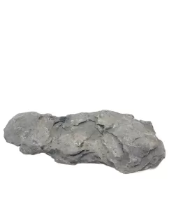Seiryu Stone D
