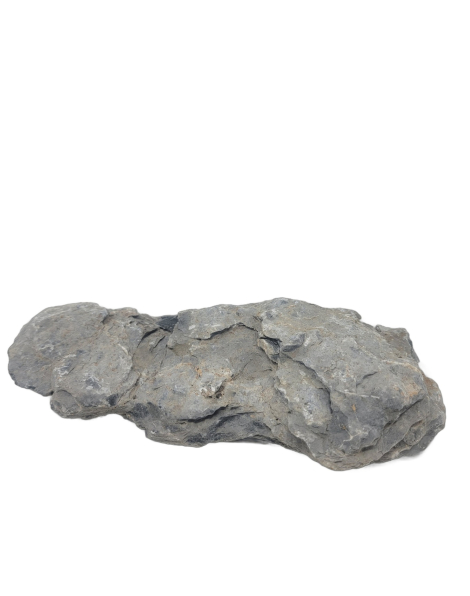 Seiryu Stone D