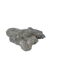 Seiryu Stone H