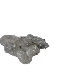 Seiryu Stone H