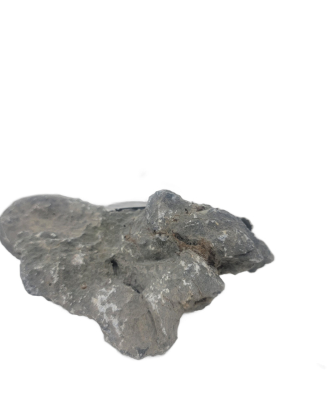 Seiryu Stone H
