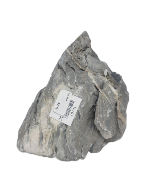 Seiryu Stone K