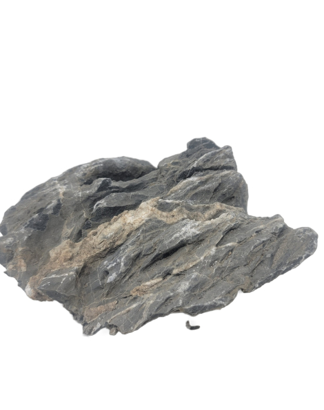 Seiryu Stone L