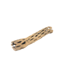 Cholla Wood 6