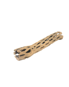 Cholla Wood 6" Narrow