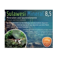Salty Shrimp Sulawesi Mineral 8.5 100g