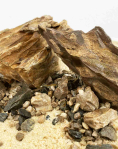 WIO Brown Accent 750g