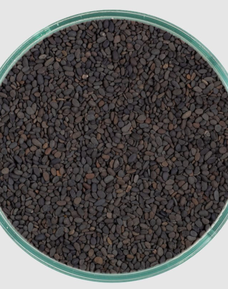 CaribSea Super Naturals Midnight River 20lb