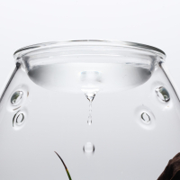 DOOA Glass Pot Shizuku