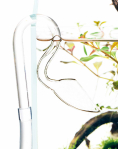 DOOA Strem Pipe Arc P-1 (10D)