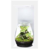 DOOA Magnet Light Stand 15H