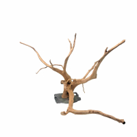Branch Wood L - A