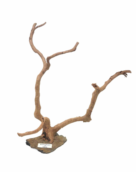 Branch Wood L - D